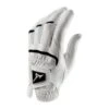 Mizuno Elite Golf Gloves -golf mizuno 2020elite glove whtblk